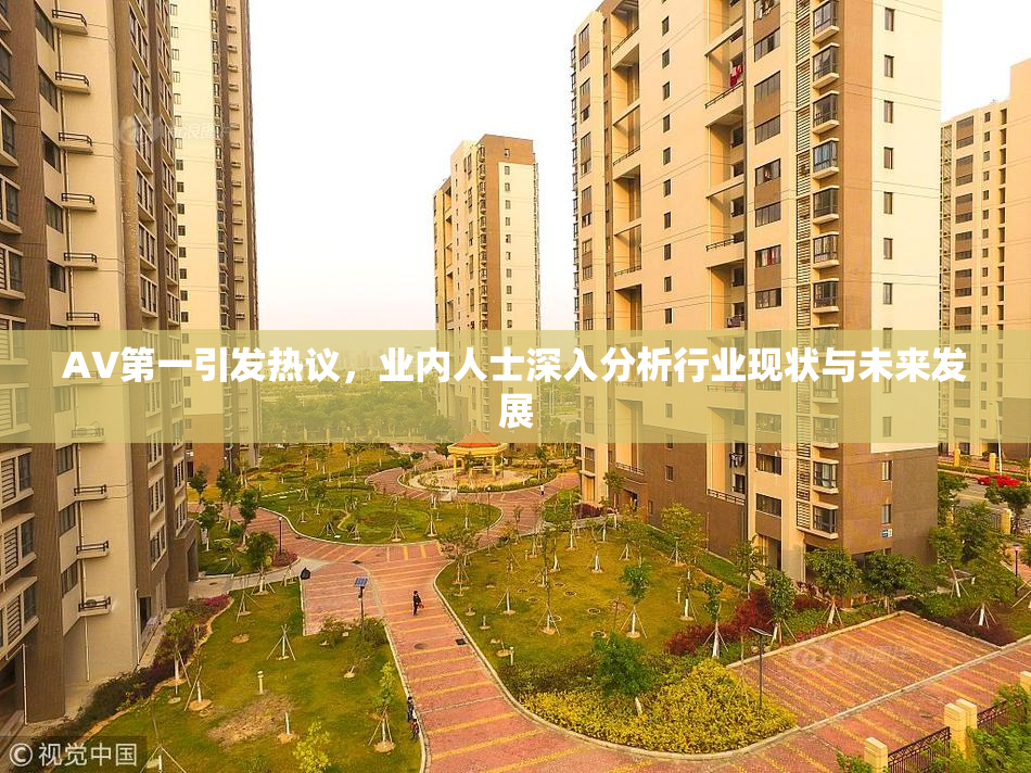 AV第一引发热议，业内人士深入分析行业现状与未来发展