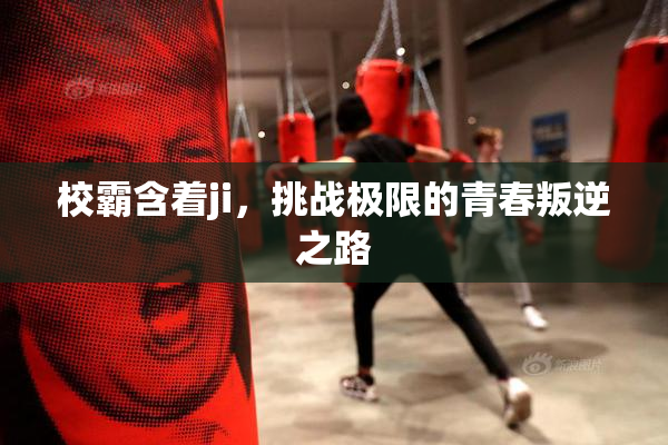 校霸含着ji，挑战极限的青春叛逆之路
