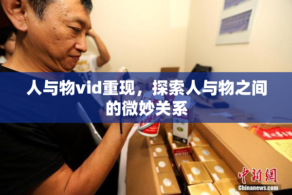 人与物vid重现，探索人与物之间的微妙关系