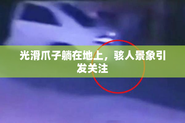 光滑爪子躺在地上，骇人景象引发关注
