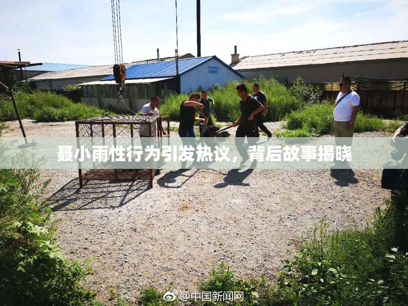 聂小雨性行为引发热议，背后故事揭晓