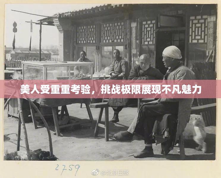 美人受重重考验，挑战极限展现不凡魅力