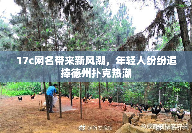 17c网名带来新风潮，年轻人纷纷追捧德州扑克热潮