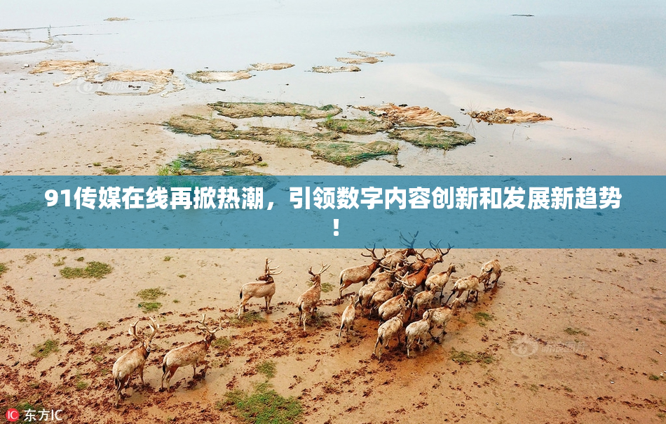 91传媒在线再掀热潮，引领数字内容创新和发展新趋势！
