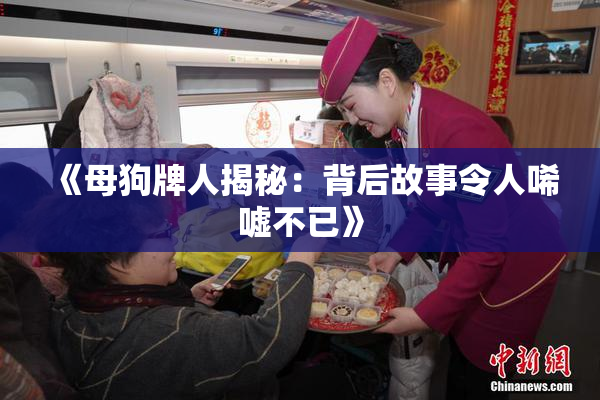 《母狗牌人揭秘：背后故事令人唏嘘不已》