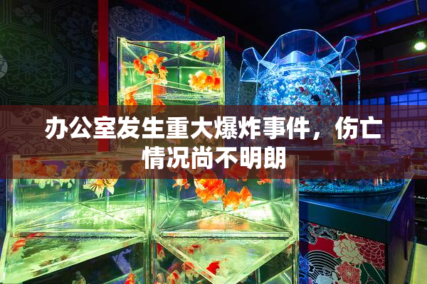 办公室发生重大爆炸事件，伤亡情况尚不明朗