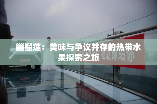 ▓榴莲：美味与争议并存的热带水果探索之旅