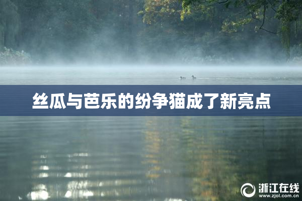 丝瓜与芭乐的纷争猫成了新亮点