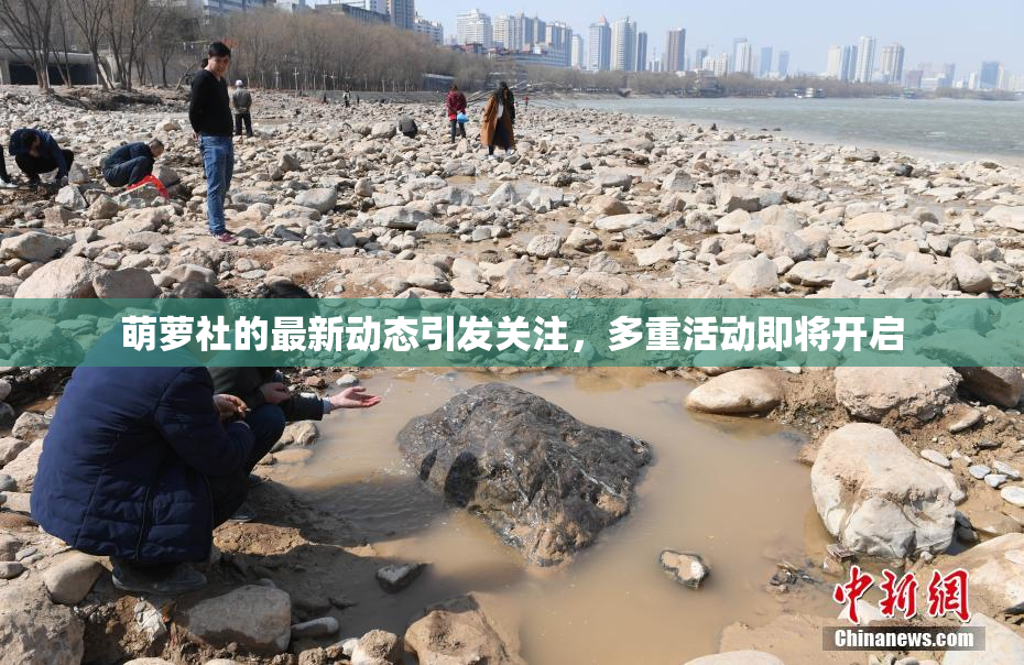 萌萝社的最新动态引发关注，多重活动即将开启