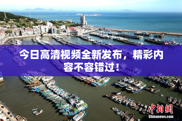 今日高清视频全新发布，精彩内容不容错过！