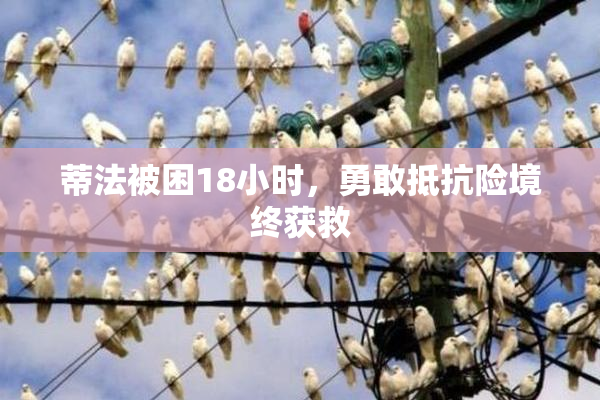 蒂法被困18小时，勇敢抵抗险境终获救