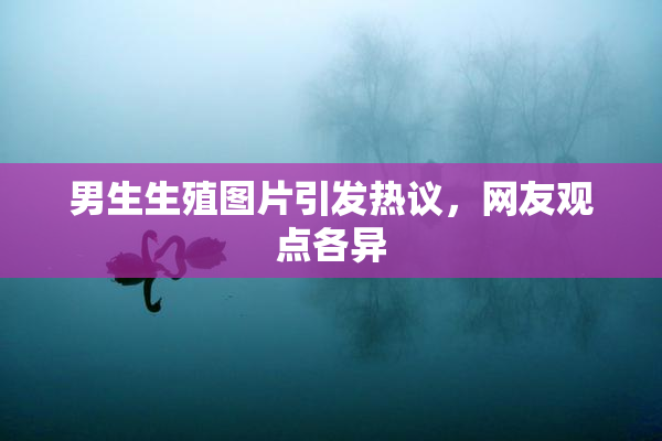 男生生殖图片引发热议，网友观点各异