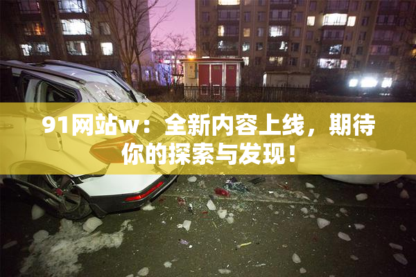 91网站w：全新内容上线，期待你的探索与发现！