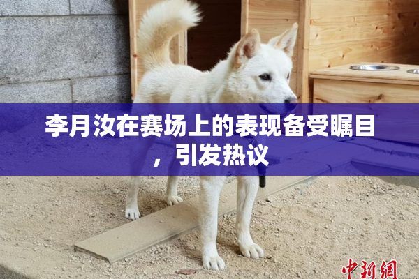 李月汝在赛场上的表现备受瞩目，引发热议