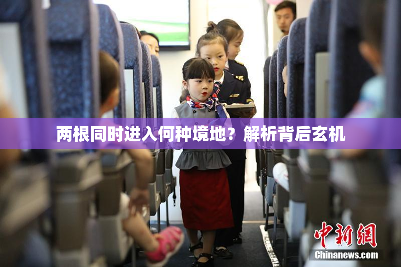 两根同时进入何种境地？解析背后玄机