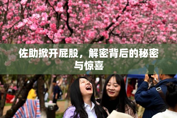 佐助掀开屁股，解密背后的秘密与惊喜