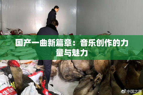 国产一曲新篇章：音乐创作的力量与魅力