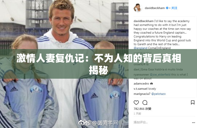 激情人妻复仇记：不为人知的背后真相揭秘