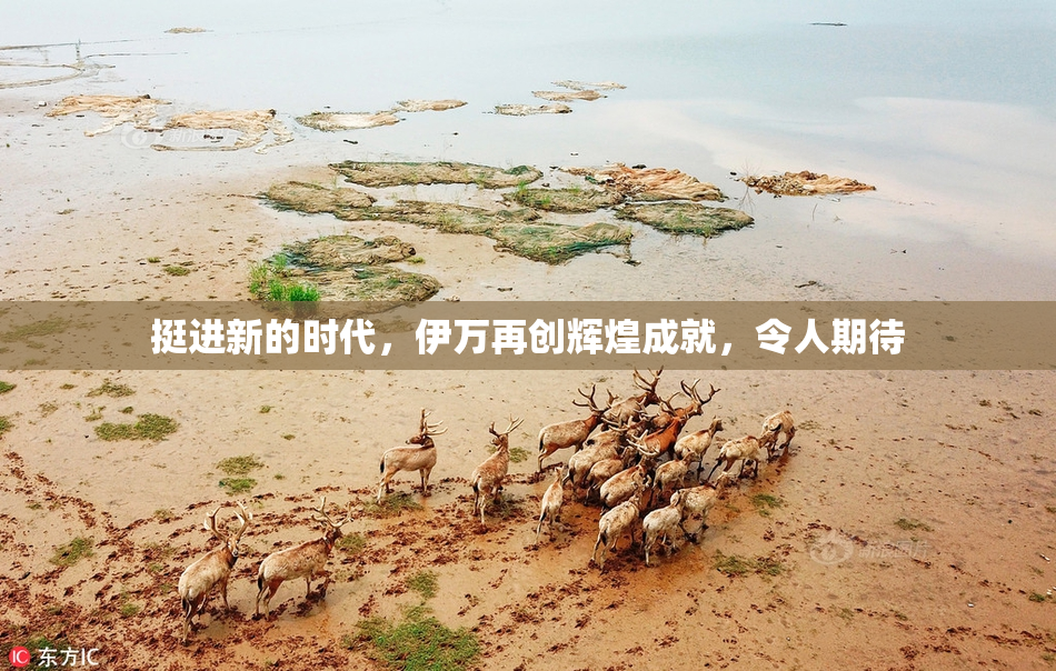 挺进新的时代，伊万再创辉煌成就，令人期待