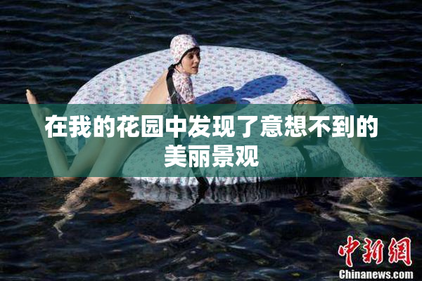 在我的花园中发现了意想不到的美丽景观