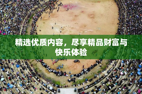 精选优质内容，尽享精品财富与快乐体验