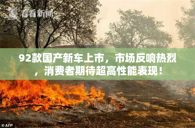92款国产新车上市，市场反响热烈，消费者期待超高性能表现！