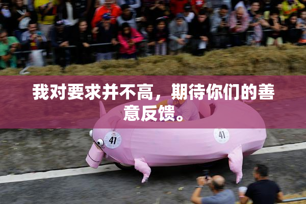 我对要求并不高，期待你们的善意反馈。