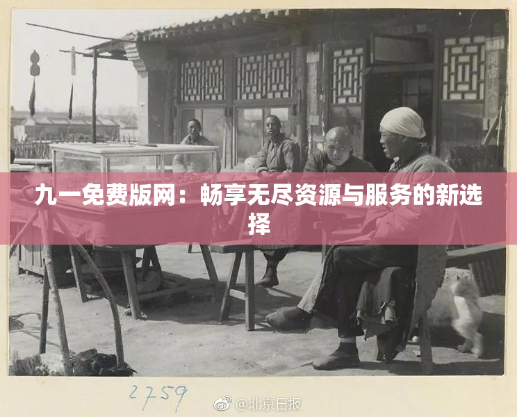 九一免费版网：畅享无尽资源与服务的新选择