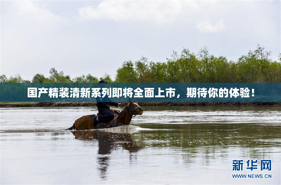 国产精装清新系列即将全面上市，期待你的体验！