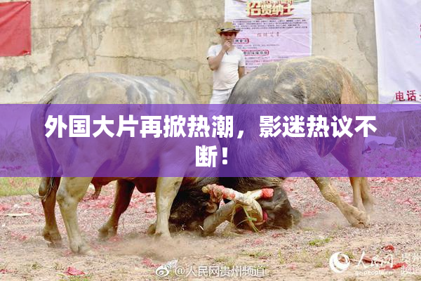 外国大片再掀热潮，影迷热议不断！