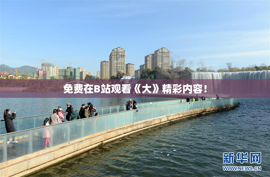 免费在B站观看《大》精彩内容！