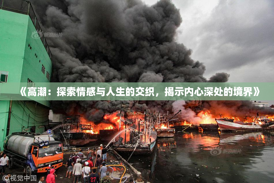 《高潮：探索情感与人生的交织，揭示内心深处的境界》