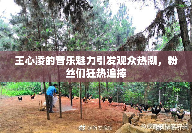 王心凌的音乐魅力引发观众热潮，粉丝们狂热追捧