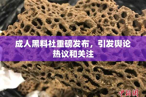 成人黑料社重磅发布，引发舆论热议和关注