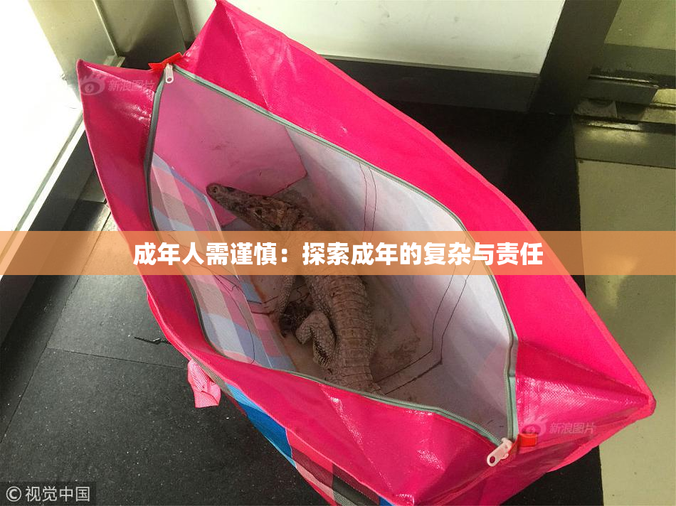 成年人需谨慎：探索成年的复杂与责任