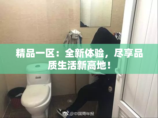 精品一区：全新体验，尽享品质生活新高地！