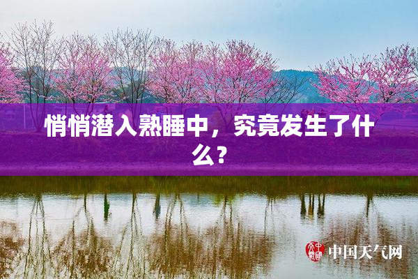 悄悄潜入熟睡中，究竟发生了什么？
