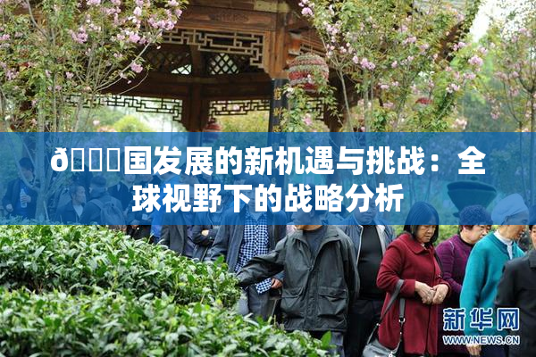 🔞国发展的新机遇与挑战：全球视野下的战略分析
