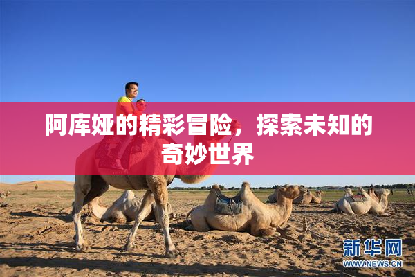 阿库娅的精彩冒险，探索未知的奇妙世界