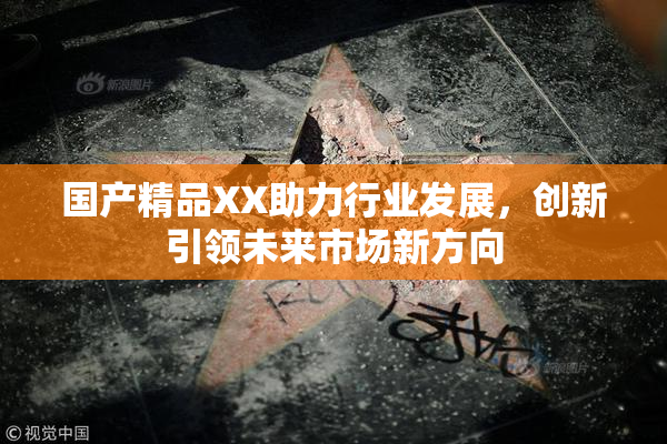 国产精品XX助力行业发展，创新引领未来市场新方向