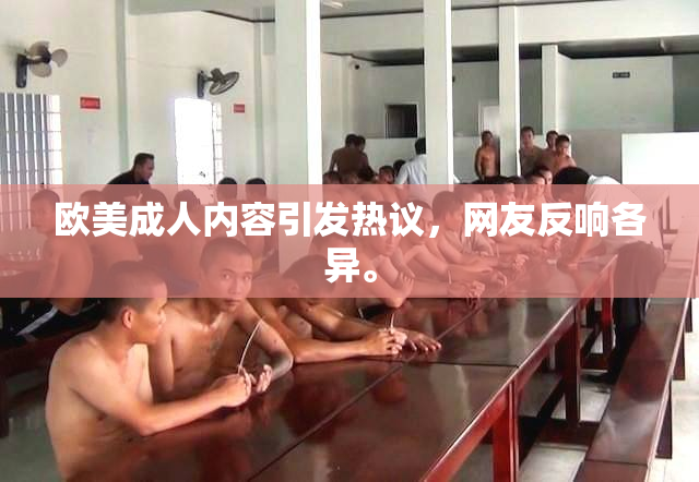 欧美成人内容引发热议，网友反响各异。