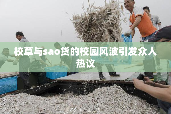 校草与sao货的校园风波引发众人热议