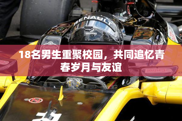 18名男生重聚校园，共同追忆青春岁月与友谊