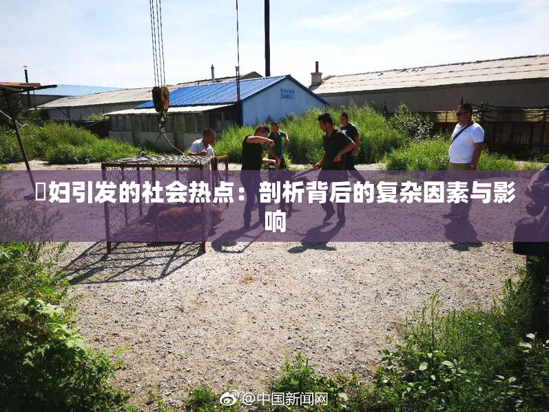 婬妇引发的社会热点：剖析背后的复杂因素与影响