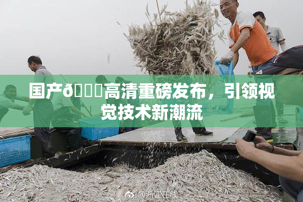 国产🍑高清重磅发布，引领视觉技术新潮流