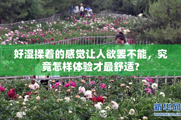 好湿揉着的感觉让人欲罢不能，究竟怎样体验才最舒适？