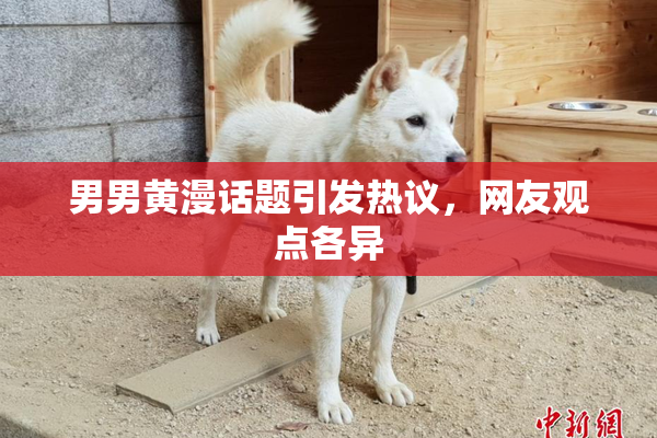男男黄漫话题引发热议，网友观点各异