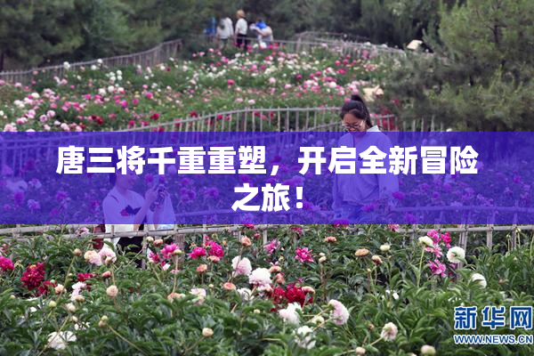 唐三将千重重塑，开启全新冒险之旅！