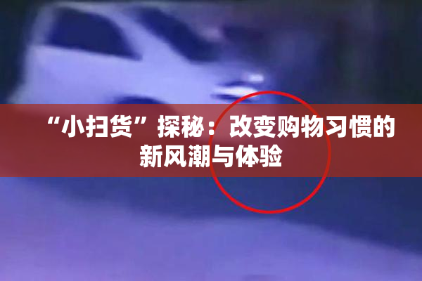 “小扫货”探秘：改变购物习惯的新风潮与体验