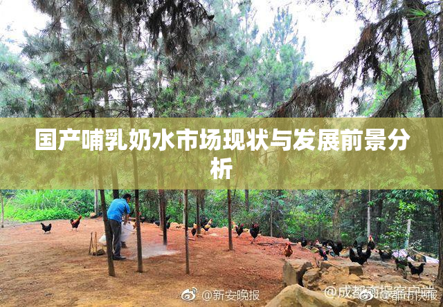 国产哺乳奶水市场现状与发展前景分析
